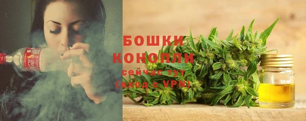 МДПВ Волоколамск