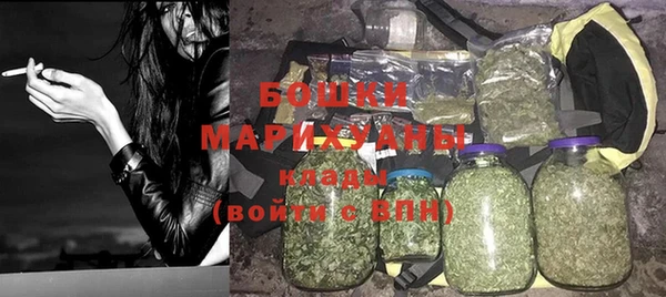 МДПВ Волоколамск