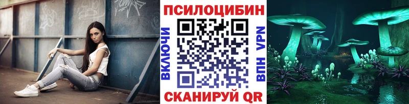 Купить  Можга  Галлюциногенные грибы Cubensis 